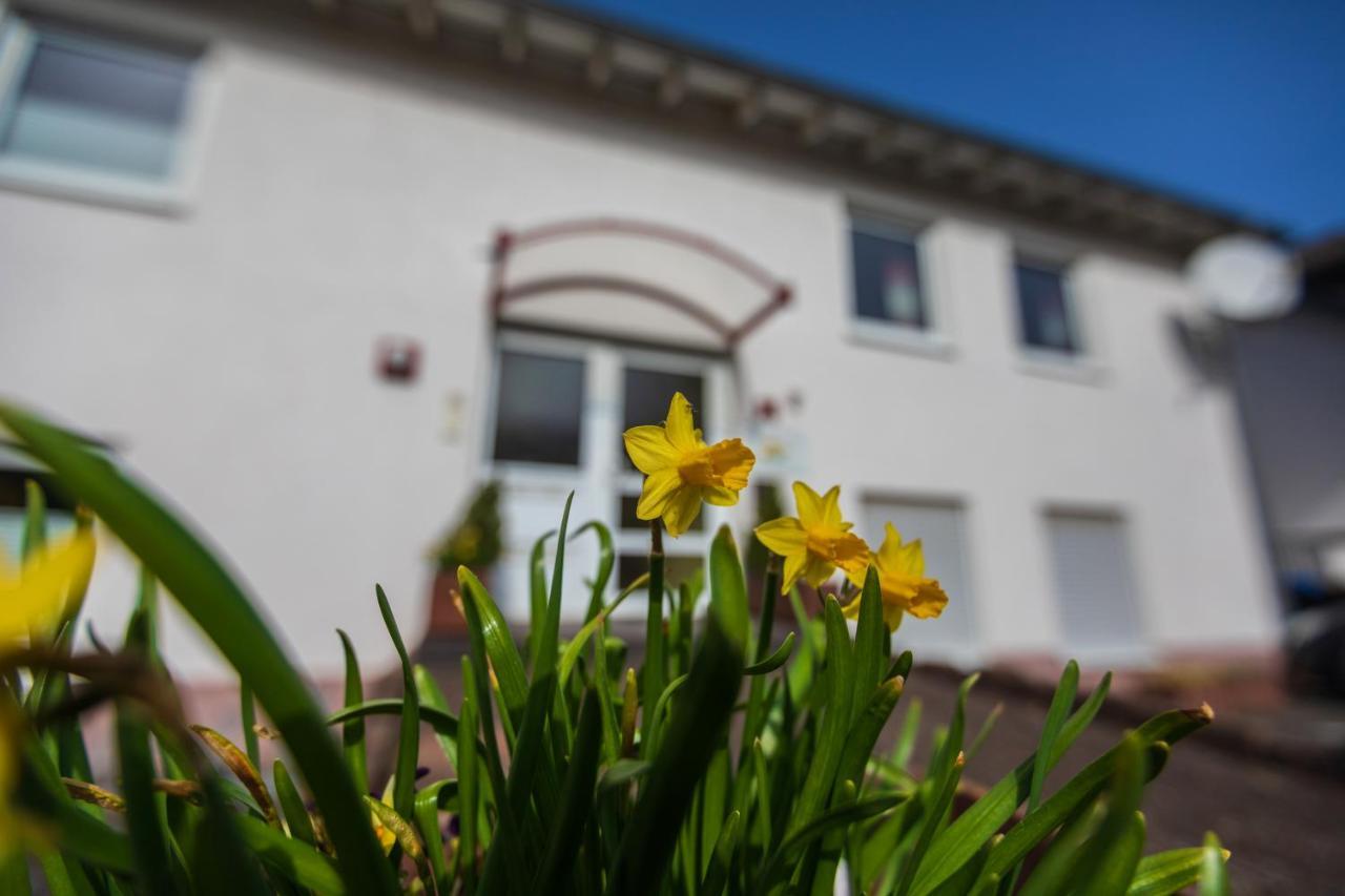 Haus Flora - Ferienwohnungen Cochem Eksteriør bilde